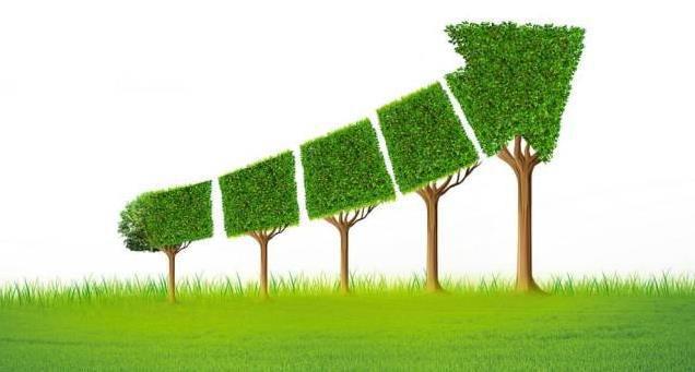 深圳長石新能源 引領綠色革命，共創可持續未來